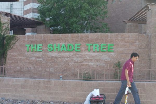 the-shade-tree-dimensional-1024x576